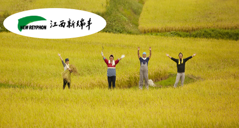 新瑞豐-百年基業(yè)，信息為本，以農(nóng)為先